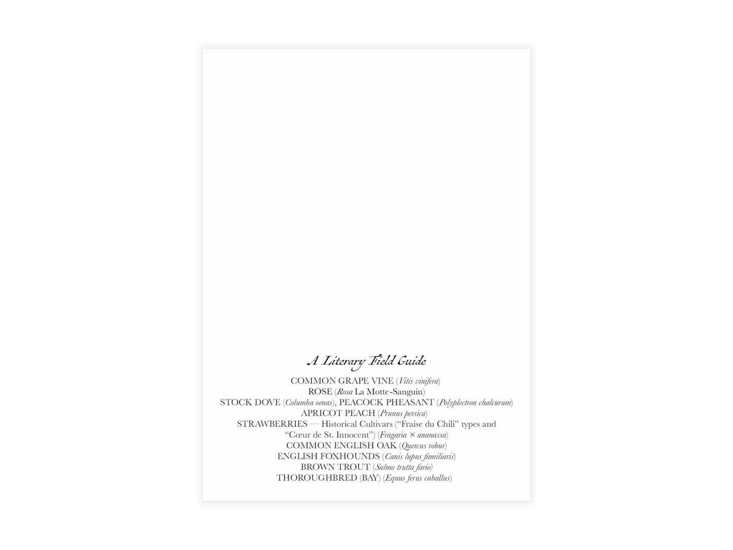 Jane Austen Flora and Fauna Postcard (Set of 10 identical cards) — Vintage Natural History Collage