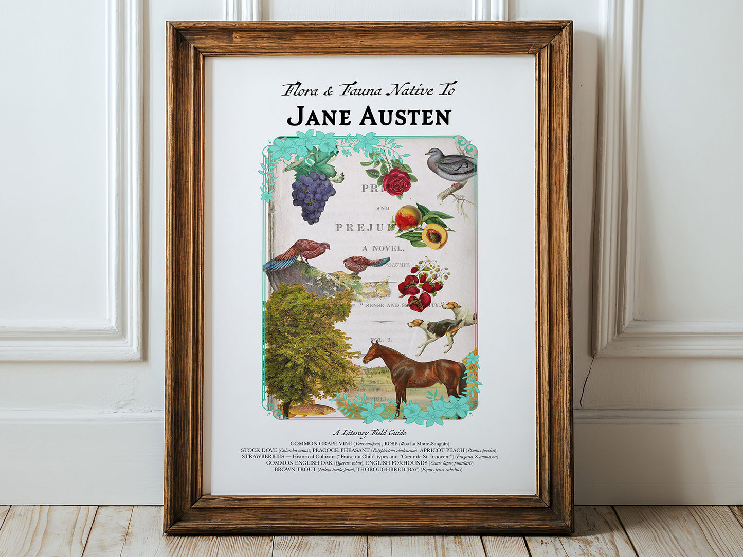 Jane Austen Literary Field Guide Collage