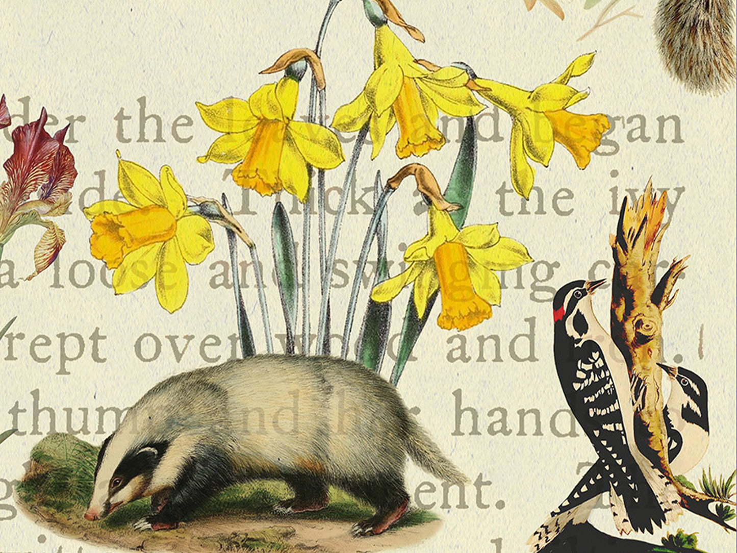 The Secret Garden — Botanical Art Print