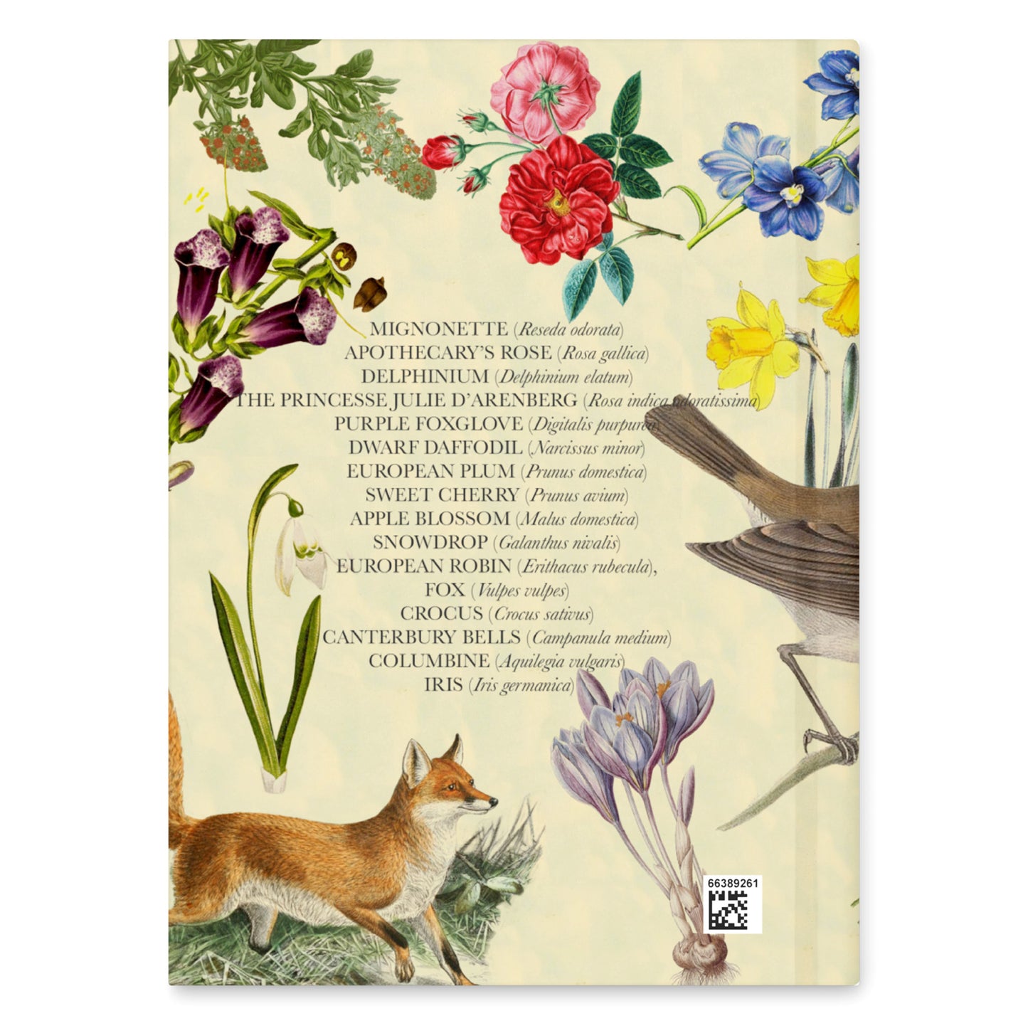 The Secret Garden Blank Notebook — Hardcover Journal with Vintage Illustrations