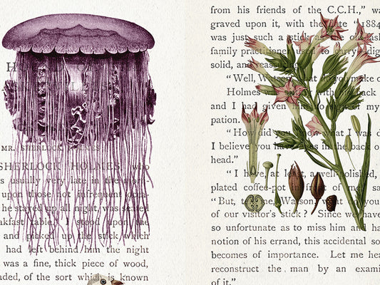 Sherlock Holmes Literary Field Guide & Vintage Natural History Collage
