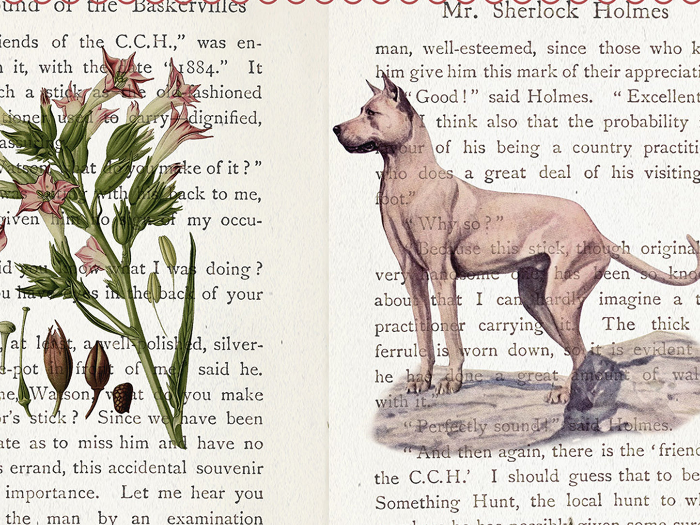 Sherlock Holmes Literary Field Guide & Vintage Natural History Collage