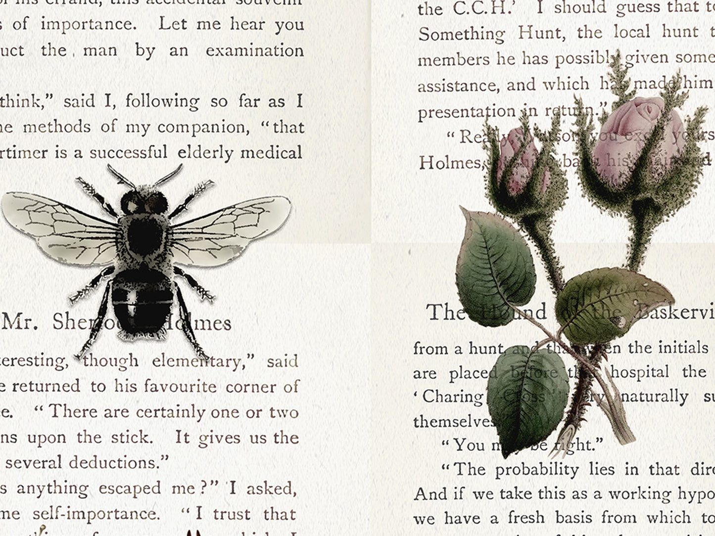 Sherlock Holmes Literary Field Guide & Vintage Natural History Collage