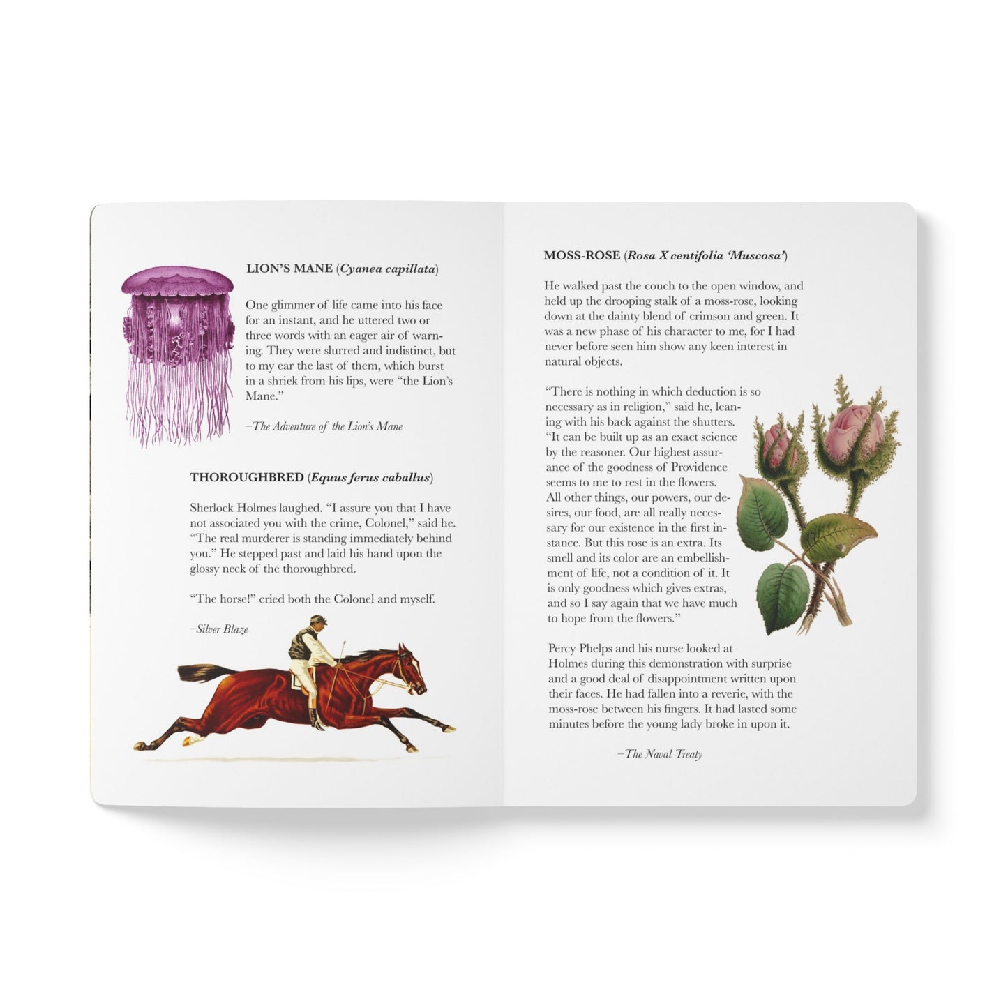 Sherlock Holmes Blank Notebook — Softcover Inspiration & Writing Journal