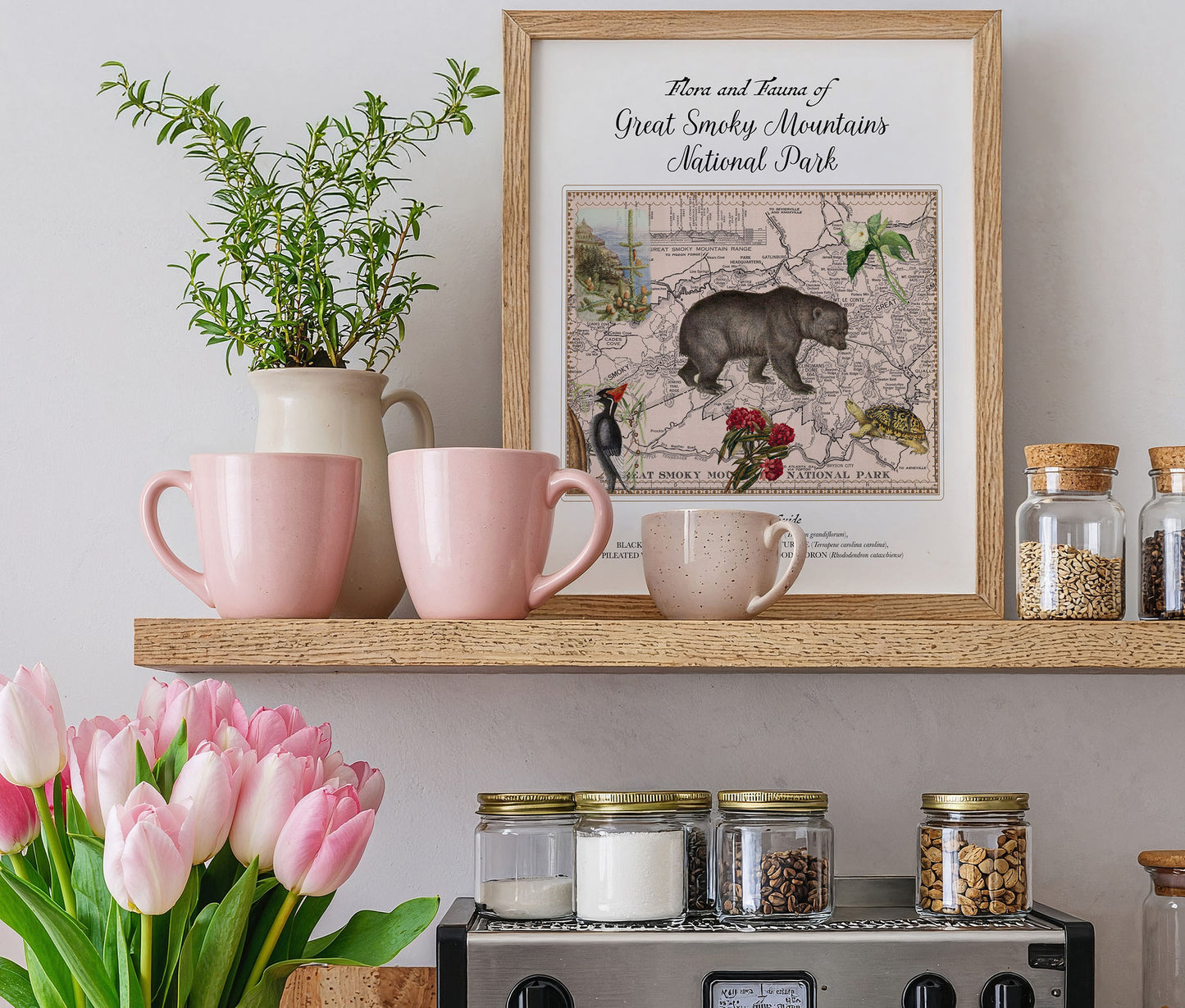 Great Smoky Mountains National Park — Vintage Natural History Collage