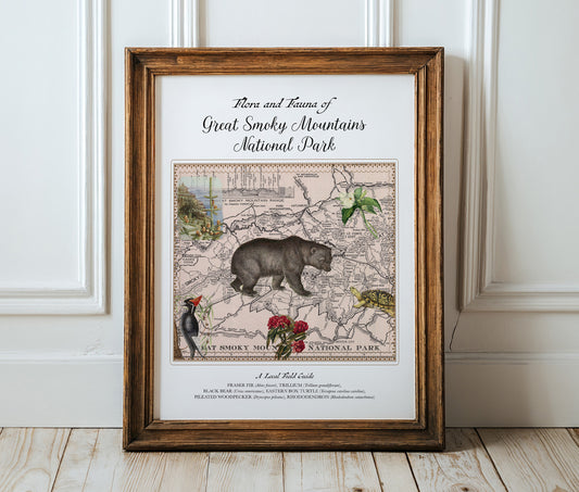 Great Smoky Mountains National Park — Vintage Natural History Collage