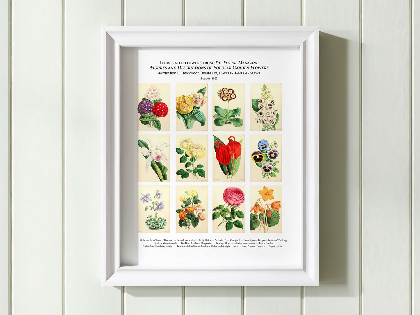 Twelve Flowers Botanical Art Print — Digital Download