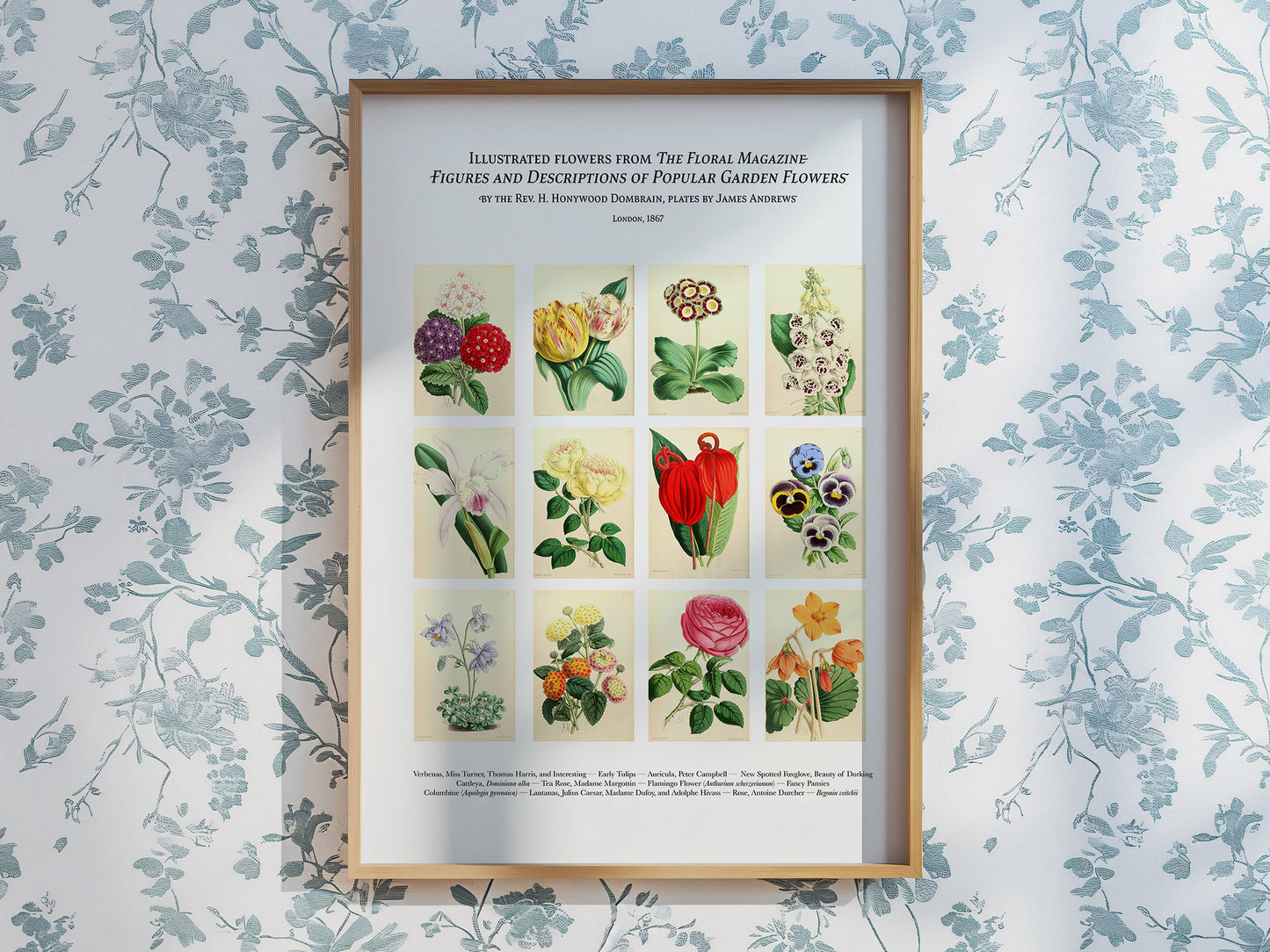 Twelve Flowers Botanical Art Print — Digital Download