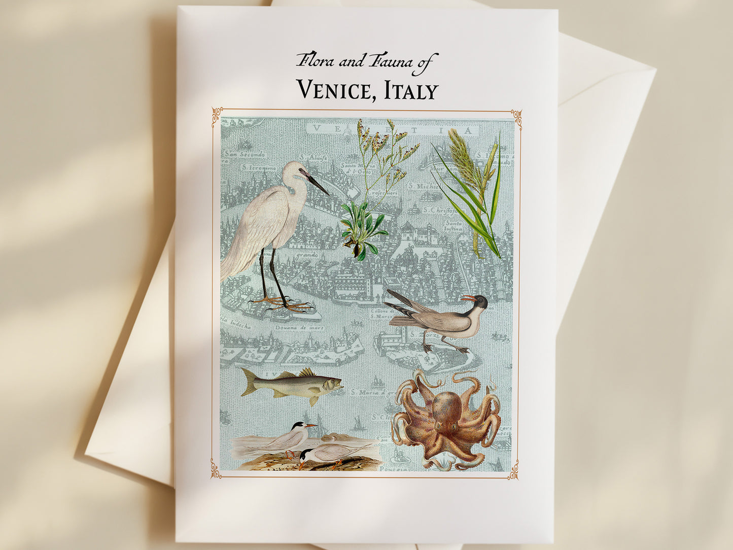 Venice, Italy Postcard (Set of 10 Identical Cards) — Vintage Natural History Collage