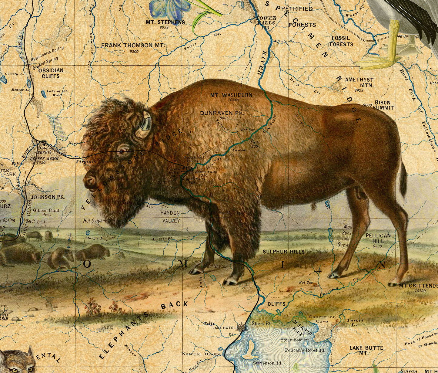 Yellowstone National Park Art Print — Vintage Natural History Collage