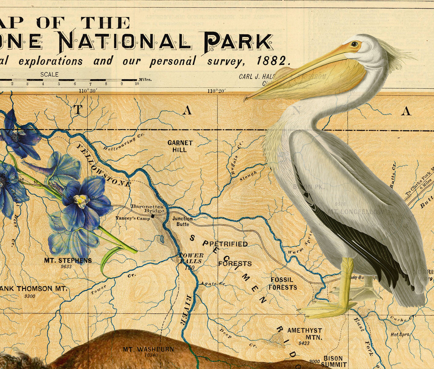 Yellowstone National Park Art Print — Vintage Natural History Collage