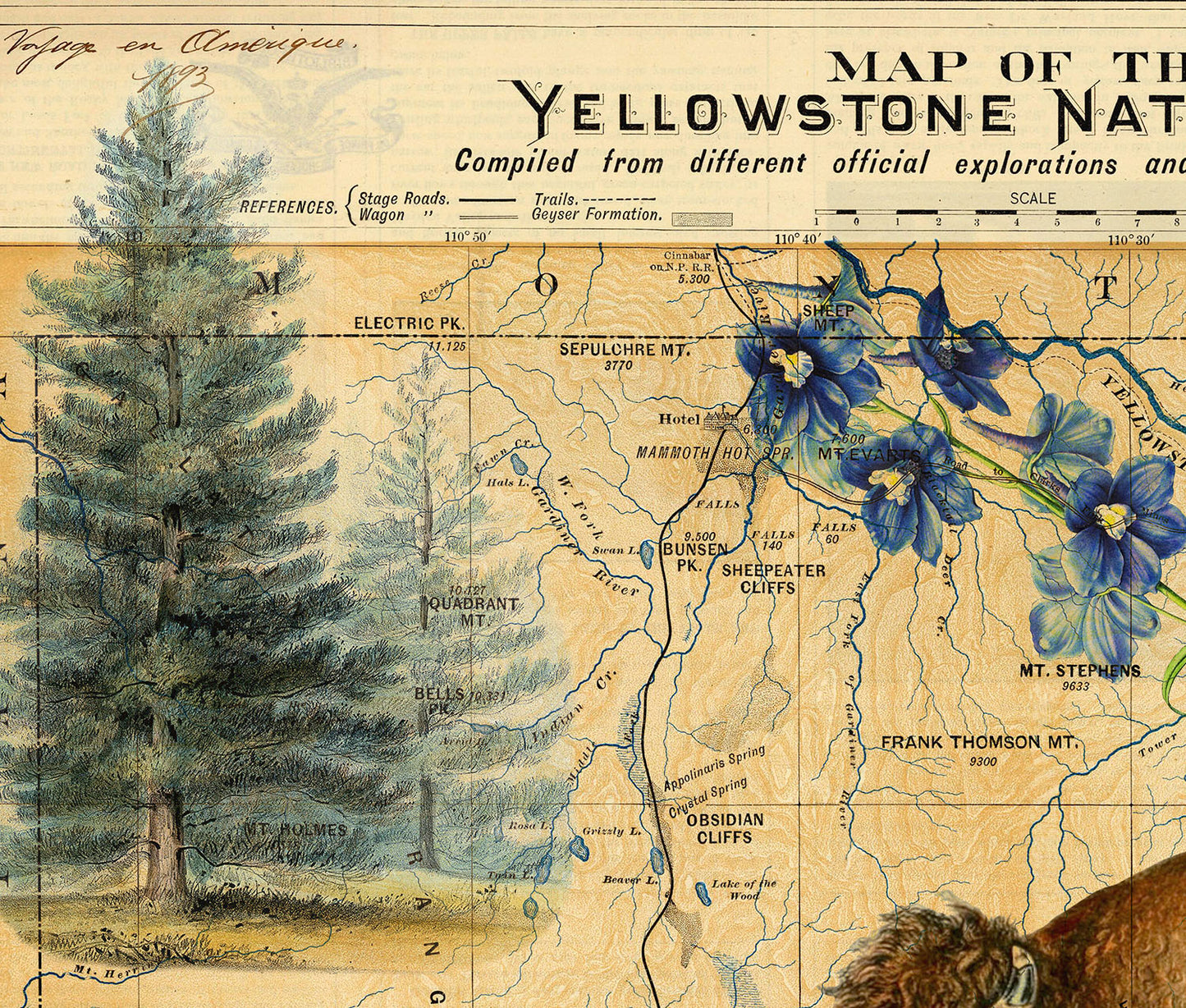 Yellowstone National Park Art Print — Vintage Natural History Collage