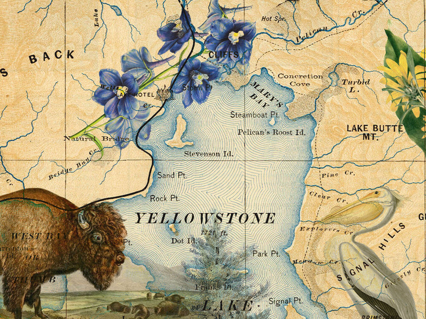 Yellowstone National Park Natural History Mug (15 oz)