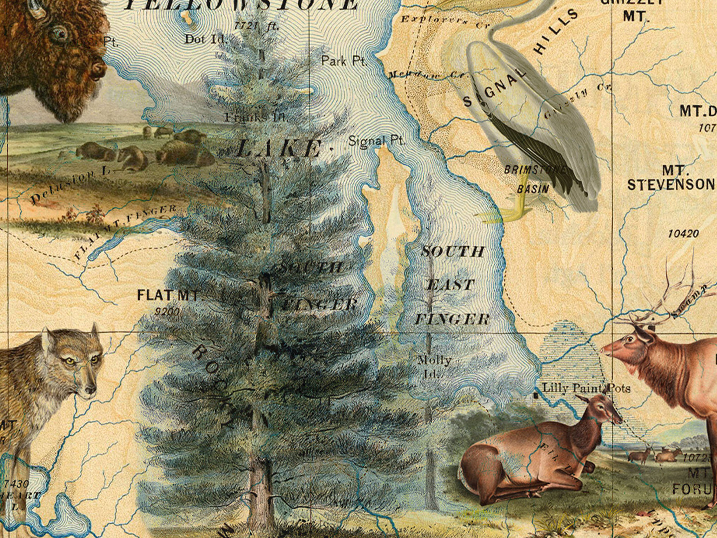 Yellowstone National Park Natural History Mug (15 oz)