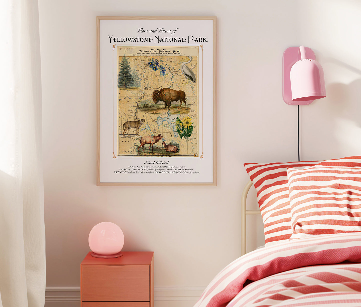 Yellowstone National Park Art Print — Vintage Natural History Collage