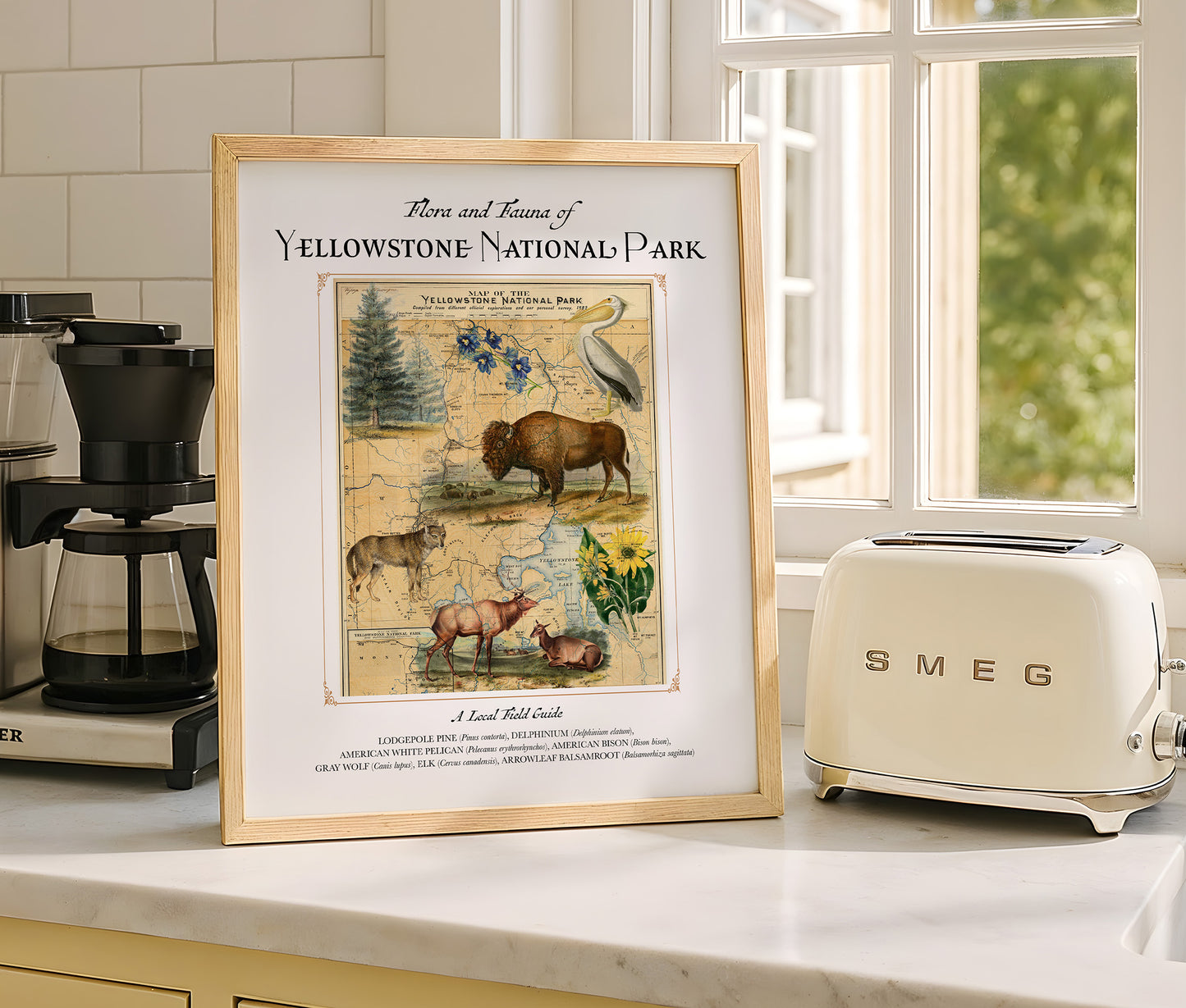 Yellowstone National Park Art Print — Vintage Natural History Collage