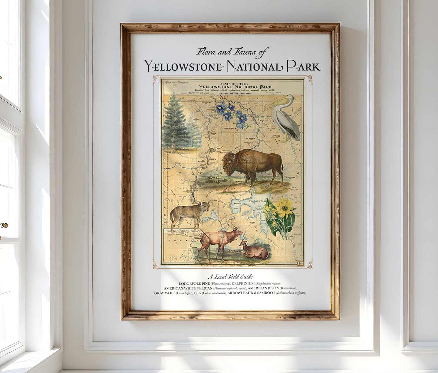 Yellowstone National Park Art Print — Vintage Natural History Collage