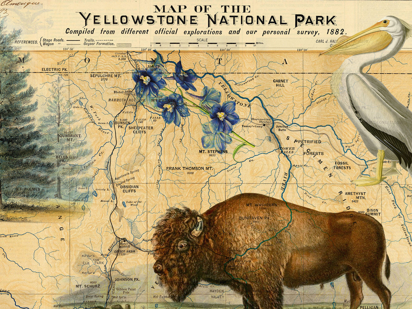 Yellowstone National Park Wood Print