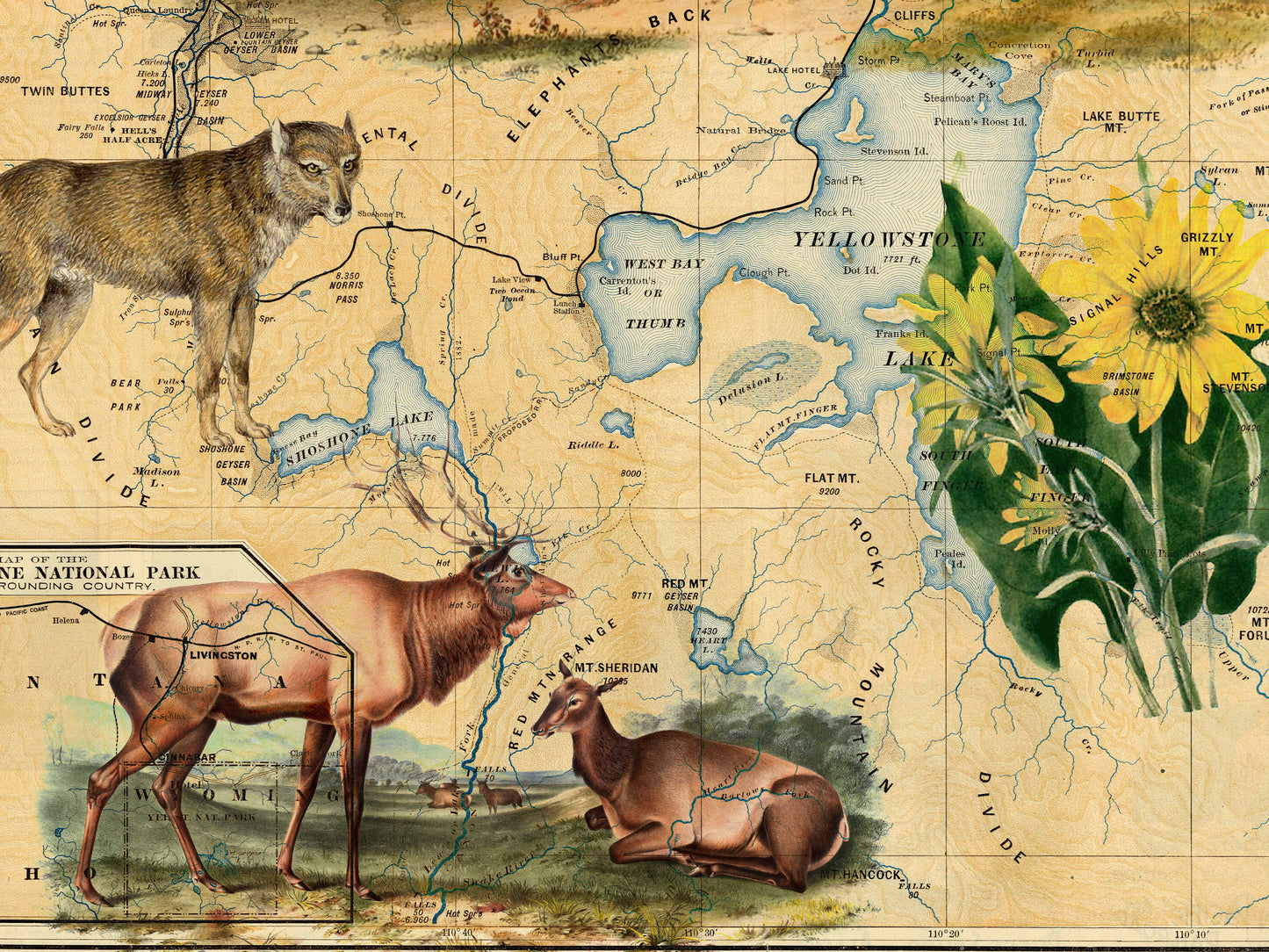 Yellowstone Fleece Sherpa Blanket