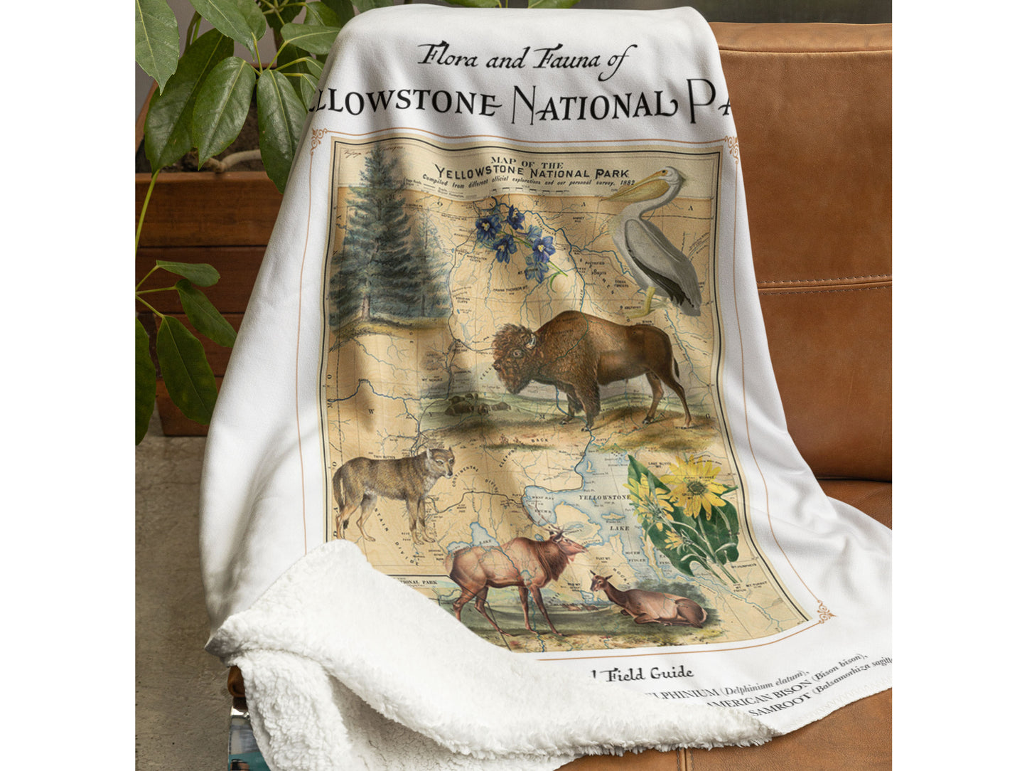 Yellowstone Fleece Sherpa Blanket