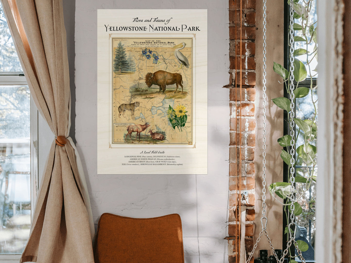 Yellowstone National Park Wood Print